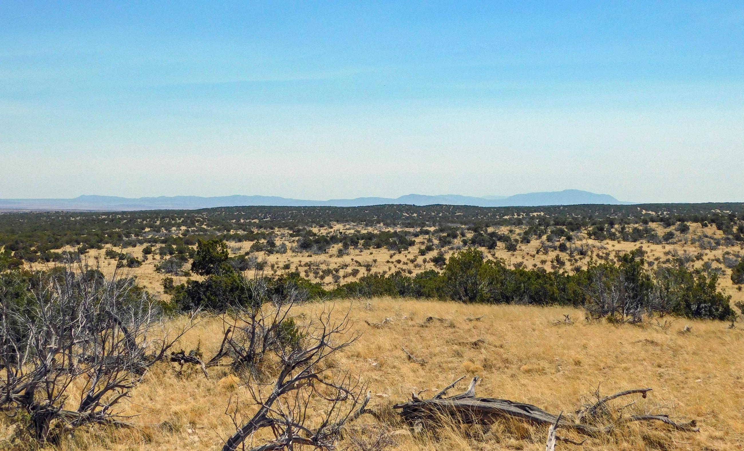 100 Ranch Chas S. Middleton